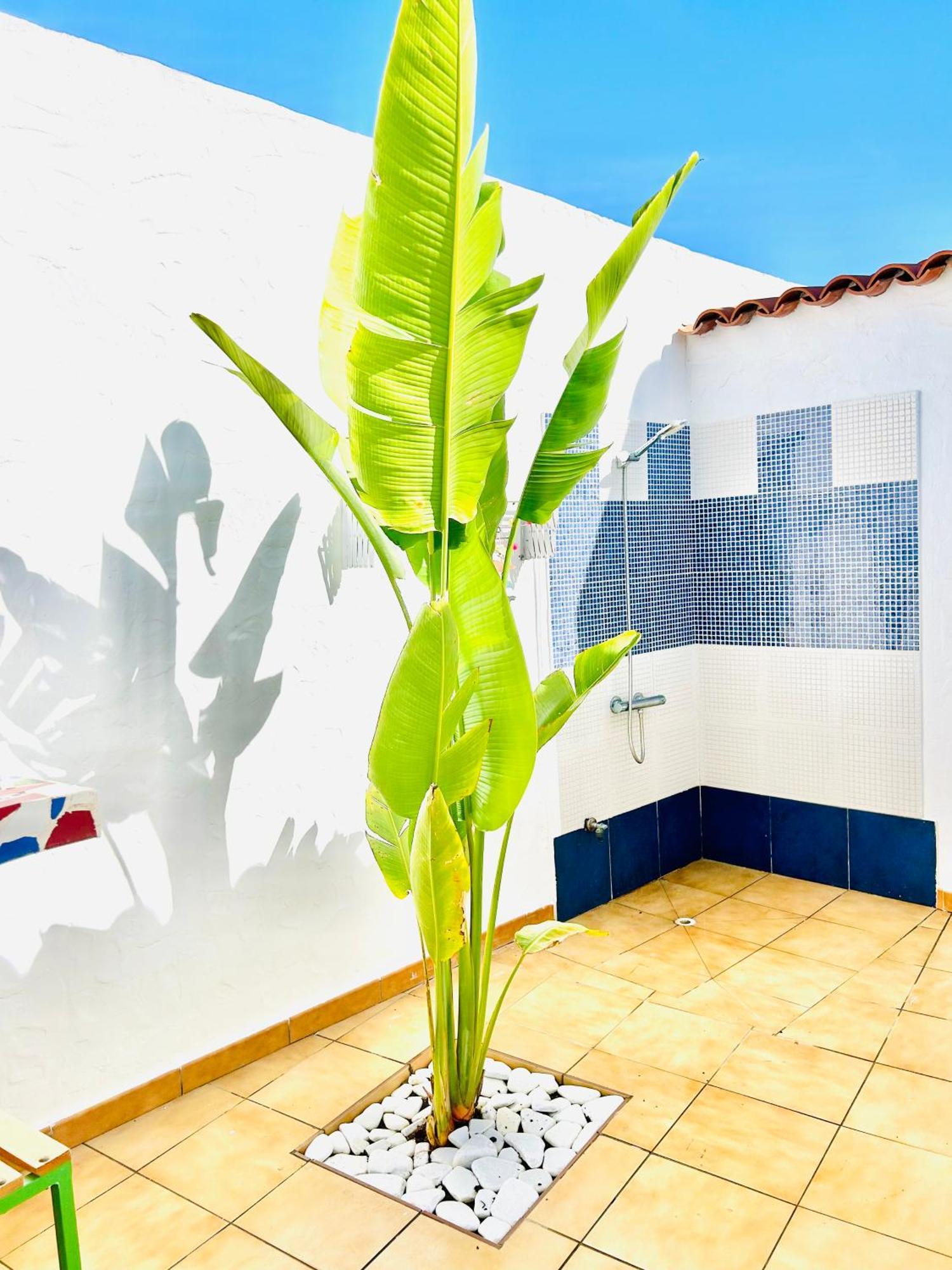 Oasis Beach Holiday Home With Jacuzzi Playa del Inglés Exteriér fotografie